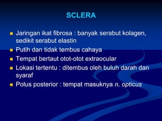 SCLERA
 Jaringan ikat fibrosa : banyak serabut kolagen,
sedikit serabut elastin
 Putih dan tidak tembus cahaya
 Tempat bertaut otot-otot extraocular
 Lokasi tertentu : ditembus oleh buluh darah dan
syaraf
 Polus posterior : tempat masuknya n. opticus
 