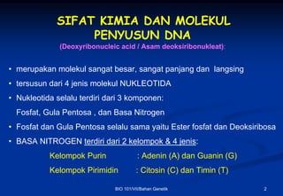 SIFAT KIMIA DAN MOLEKUL
                  PENYUSUN DNA
              (Deoxyribonucleic acid / Asam deoksiribonukleat):


• merupakan molekul sangat besar, sangat panjang dan langsing
• tersusun dari 4 jenis molekul NUKLEOTIDA
• Nukleotida selalu terdiri dari 3 komponen:
  Fosfat, Gula Pentosa , dan Basa Nitrogen
• Fosfat dan Gula Pentosa selalu sama yaitu Ester fosfat dan Deoksiribosa
• BASA NITROGEN terdiri dari 2 kelompok & 4 jenis:
           Kelompok Purin               : Adenin (A) dan Guanin (G)
           Kelompok Pirimidin          : Citosin (C) dan Timin (T)

                              BIO 101/VII/Bahan Genetik               2
 
