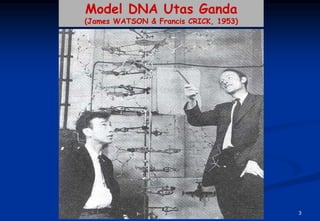 Model DNA Utas Ganda
(James WATSON & Francis CRICK, 1953)




          BIO 101/VII/Bahan Genetik    3
 