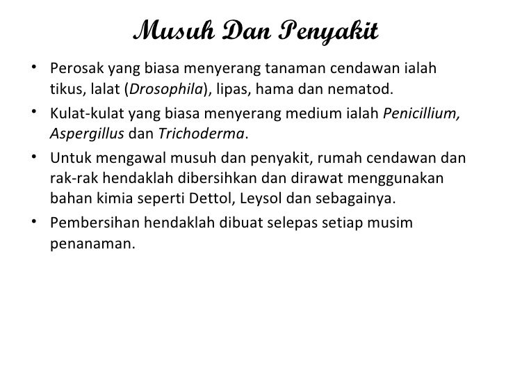 Pengeluaran Cendawan