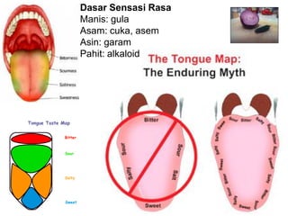 Dasar Sensasi Rasa
Manis: gula
Asam: cuka, asem
Asin: garam
Pahit: alkaloid
 