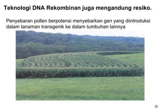 Kuliah 7 teknologi dna rekombinan | PDF