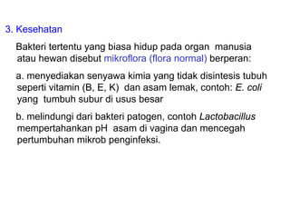3. Kesehatan
  Bakteri tertentu yang biasa hidup pada organ manusia
  atau hewan disebut mikroflora (flora normal) berperan:
  a. menyediakan senyawa kimia yang tidak disintesis tubuh
  seperti vitamin (B, E, K) dan asam lemak, contoh: E. coli
  yang tumbuh subur di usus besar
  b. melindungi dari bakteri patogen, contoh Lactobacillus
  mempertahankan pH asam di vagina dan mencegah
  pertumbuhan mikrob penginfeksi.
 