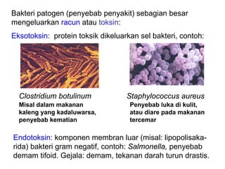 Bakteri patogen (penyebab penyakit) sebagian besar
mengeluarkan racun atau toksin:
Eksotoksin: protein toksik dikeluarkan sel bakteri, contoh:




  Clostridium botulinum            Staphylococcus aureus
  Misal dalam makanan               Penyebab luka di kulit,
  kaleng yang kadaluwarsa,          atau diare pada makanan
  penyebab kematian                 tercemar

Endotoksin: komponen membran luar (misal: lipopolisaka-
rida) bakteri gram negatif, contoh: Salmonella, penyebab
demam tifoid. Gejala: demam, tekanan darah turun drastis.
 