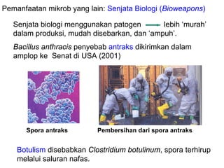 Pemanfaatan mikrob yang lain: Senjata Biologi (Bioweapons)

   Senjata biologi menggunakan patogen       lebih ‘murah’
   dalam produksi, mudah disebarkan, dan ‘ampuh’.
   Bacillus anthracis penyebab antraks dikirimkan dalam
   amplop ke Senat di USA (2001)




      Spora antraks        Pembersihan dari spora antraks


    Botulism disebabkan Clostridium botulinum, spora terhirup
    melalui saluran nafas.
 