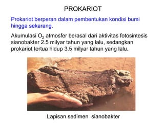 PROKARIOT
Prokariot berperan dalam pembentukan kondisi bumi
hingga sekarang.
Akumulasi O2 atmosfer berasal dari aktivitas fotosintesis
sianobakter 2.5 milyar tahun yang lalu, sedangkan
prokariot tertua hidup 3.5 milyar tahun yang lalu.




              Lapisan sedimen sianobakter
 