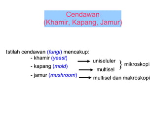 Cendawan
               (Khamir, Kapang, Jamur)



Istilah cendawan (fungi) mencakup:
 mmencak- khamir (yeast)
          - kapang (mold)
                                     uniseluler
                                      multisel
                                                  } mikroskopi
          - jamur (mushroom)
                                     multisel dan makroskopi
 
