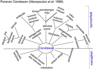 Peranan Cendawan (Alexopoulos et al. 1996)
                                                           enz
                                              pematangan indu im
                                        tempe                  stri
                                                 keju




                                                                                                           bermanfaat
                                ik                                          m
                           io t            n                            p r ik o
                      t ib         h ormo               maka               ot -
                   an                    buh                                 ei
                                    tum an             berkh nan               n
                                          m                 amir
                                     tana
              id


                                                                       ins
                                                                    ekt
          ro




                                            aktivitas




                                                                                     ne
                                                                       a
          e




                                                          pe
       st




                                                                                       m
                                             enzim          ng
                                         an




                                                                                        at
                                       a                       e




                                                                                            od
                                    un lit                  ha nda
           ti




                                                 bioma
  kha ntasi




                                                                                              a mi
                                  gg bo
    hol ro




                                                       ssa ya lia




                                                                                               a so ko r i za
                                en eta
                   for rans-




                                                                 ti  n
      m ir




                               p
                         si




                                                                                   k ehu
                                  m
      e




                                                                                                   si a
                      ma
 ferm



                       t
alko




                    bio




                                                                                                        si
                                                                                     tana
                                          Cendawan




                                                                                       n
                                                                             kan
          pe ama




                                                                                                            merugikan
                                                                           busu
                                                                   i
            tan




                                 m
             nya n




                                  iko
                               da s                            erg
                                 n is                        al
                kit




                                                                        pem
                                   m he
                                     an w                 on
                                       us a n           sp
                                         ia          re
                                            mikotoksin
 