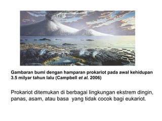 Gambaran bumi dengan hamparan prokariot pada awal kehidupan
3.5 milyar tahun lalu (Campbell et al. 2006)


Prokariot ditemukan di berbagai lingkungan ekstrem dingin,
panas, asam, atau basa yang tidak cocok bagi eukariot.
 