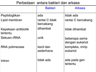 Perbedaan antara bakteri dan arkaea
                             Bakteri         Arkaea

Peptidoglikan         ada              tidak ada
Lipid membran         rantai C tidak   rantai C bercabang
                      bercabang
Kepekaan antibiotik   dihambat         tidak dihambat
tertentu
Sekuen rRNA           unik             beberapa sama
                                       dengan eukariot
RNA polimerase        kecil dan        kompleks, mirip
                      sederhana        eukariot


Intron                tidak ada        ada pada gen
                                       tertentu
 