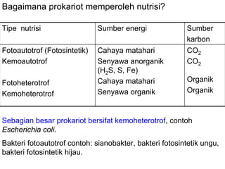 Bagaimana prokariot memperoleh nutrisi?

Tipe nutrisi                  Sumber energi              Sumber
                                                         karbon
Fotoautotrof (Fotosintetik)   Cahaya matahari            CO2
Kemoautotrof                  Senyawa anorganik          CO2
                              (H2S, S, Fe)
Fotoheterotrof                Cahaya matahari            Organik
Kemoheterotrof                Senyawa organik            Organik



Sebagian besar prokariot bersifat kemoheterotrof, contoh
Escherichia coli.
Bakteri fotoautotrof contoh: sianobakter, bakteri fotosintetik ungu,
bakteri fotosintetik hijau.
 