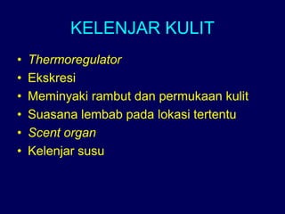 KELENJAR KULIT
• Thermoregulator
• Ekskresi
• Meminyaki rambut dan permukaan kulit
• Suasana lembab pada lokasi tertentu
• Scent organ
• Kelenjar susu
 