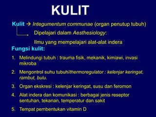 Kulit  Integumentum communae (organ penutup tubuh)
Dipelajari dalam Aesthesiology:
Ilmu yang mempelajari alat-alat indera
Fungsi kulit:
1. Melindungi tubuh : trauma fisik, mekanik, kimiawi, invasi
mikroba
2. Mengontrol suhu tubuh/thermoregulator : kelenjar keringat,
rambut, bulu.
3. Organ ekskresi : kelenjar keringat, susu dan feromon
4. Alat indera dan komunikasi : berbagai jenis reseptor
sentuhan, tekanan, temperatur dan sakit
5. Tempat pembentukan vitamin D
KULIT
 