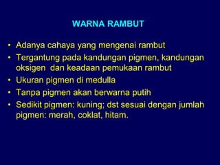 WARNA RAMBUT
• Adanya cahaya yang mengenai rambut
• Tergantung pada kandungan pigmen, kandungan
oksigen dan keadaan pemukaan rambut
• Ukuran pigmen di medulla
• Tanpa pigmen akan berwarna putih
• Sedikit pigmen: kuning; dst sesuai dengan jumlah
pigmen: merah, coklat, hitam.
 