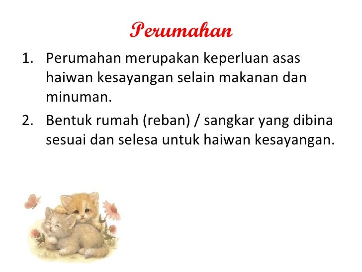 Haiwan Kesayangan