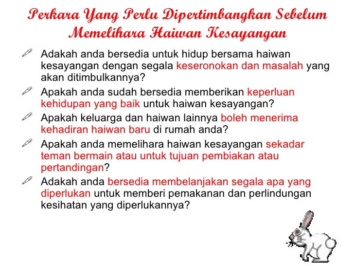 Haiwan Kesayangan