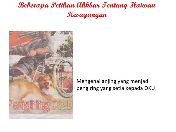 Haiwan Kesayangan