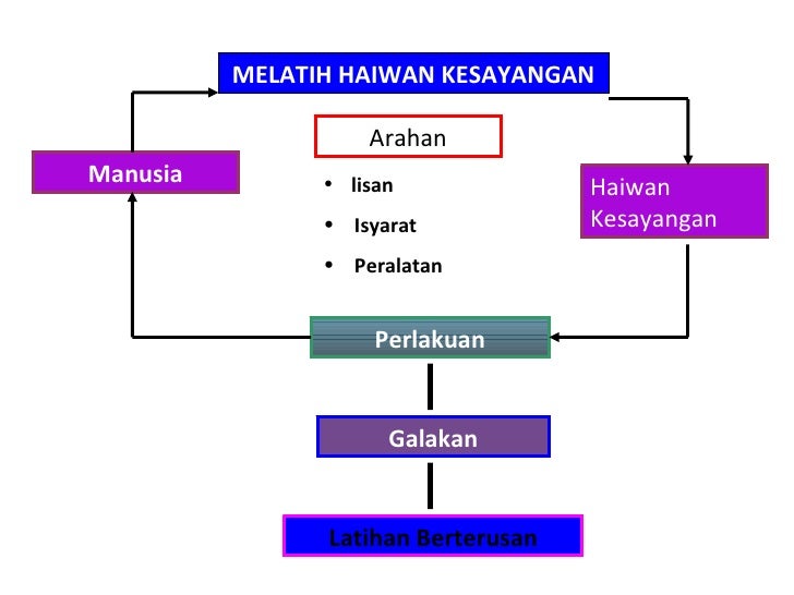 Haiwan Kesayangan