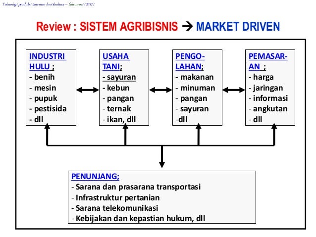 Memulai Usaha Kecil Berbasis Tanaman Hortikultura di Desa Cikoneng