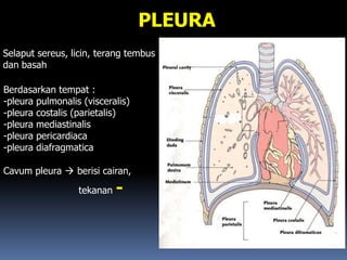 PLEURA
Selaput sereus, licin, terang tembus
dan basah
Berdasarkan tempat :
-pleura pulmonalis (visceralis)
-pleura costalis (parietalis)
-pleura mediastinalis
-pleura pericardiaca
-pleura diafragmatica
Cavum pleura  berisi cairan,
tekanan -
 