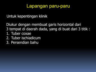 Lapangan paru-paru
Untuk kepentingan klinik
Diukur dengan membuat garis horizontal dari
3 tempat di daerah dada, yang di buat dari 3 titik :
1. Tuber coxae
2. Tuber ischiadicum
3. Persendian bahu
 