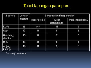Tabel lapangan paru-paru
Species Jumlah
costae
Berpadanan tinggi dengan
Tuber coxae Tuber
ischiadicum
Persendian bahu
Kuda 18 16* 11 6
Sapi 13 11 9 5
Kambing,
domba
13 11 7 6
Babi 14 11 8 4
Anjing,
kucing
13 11 9 6
* = ruang intercostal
 