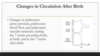 Fetal and Neonatal Circulation: Physiology, Transition, and Critical ...
