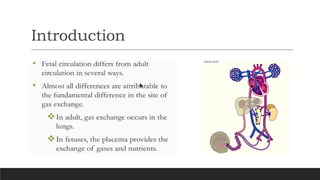 Fetal and Neonatal Circulation: Physiology, Transition, and Critical ...
