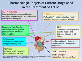 Pharmacologic Targets of Current Drugs Used
in the Treatment of T2DM
-glucosidase inhibitors
Delay intestinal carbohydrate
absorption
TZD
Increase glucose uptake in
skeletal muscle and
decrease lipolysis in fat
tissue
Sulfonylureas
Increase insulin secretion
from pancreatic -cells
GLP-1 mimetics
Improves glucose-dependent insulin
secretion, suppresses glucagon secretion,
slows gastric emptying
Biguanide (metformin)
Decreases hepatic glucose
production and increases
glucose uptake
DDP-4=dipeptidyl peptidase-4; GLP-1=glucagon-like peptide-1; T2DM=type 2 diabetes mellitus
Adapted from Cheng AY, Fantus IG. CMAJ. 2005; 172: 213–226.
Glinides
Increase insulin secretion
from pancreatic -cells
DPP-4 inhibitors
Prolong GLP-1 action, stimulate insulin
secretion, suppress glucagon release
SGLT2 inhibitor
Inhibit renal glucose
reabsortion from tubular fluid
 