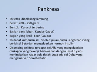 Pankreas
• Terletak dibelakang lambung
• Berat : 200 – 250 gram
• Bentuk : Kerucut terbaring
• Bagian yang lebar : Kepala (Caput)
• Bagian yang kecil : Ekor (Cauda)
• Terdapat kumpulan sel disebut pulau-pulau Langerhans yang
berisi sel Beta dan mengeluarkan hormon Insulin.
• Disamping sel Beta terdapat sel Alfa yang mengeluarkan
Glukagon yang bekerja berlawanan dengan insulin yaitu
meningkatkan kadar gula darah. Juga ada sel Delta yang
mengeluarkan Somatostatin
 
