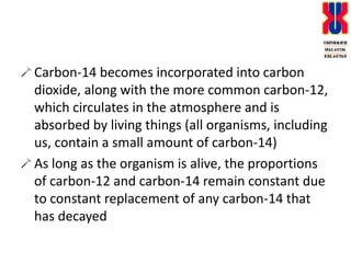 Carbon-14 becomes incorporated into carbon dioxide, along with the more common carbon-12, which circulates in the atmosphere and is absorbed by living things (all organisms, including us, contain a small amount of carbon-14)As long as the organism is alive, the proportions of carbon-12 and carbon-14 remain constant due to constant replacement of any carbon-14 that has decayed