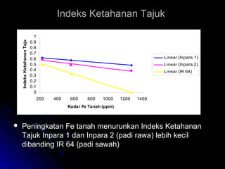 Indeks Ketahanan TajukIndeks Ketahanan Tajuk
0
0.1
0.2
0.3
0.4
0.5
0.6
0.7
0.8
0.9
1
200 400 600 800 1000 1200 1400
Kadar Fe Tanah (ppm)
IndeksKetahananTajuk
Linear (Inpara 1)
Linear (Inpara 2)
Linear (IR 64)
 Peningkatan Fe tanah menurunkan Indeks KetahananPeningkatan Fe tanah menurunkan Indeks Ketahanan
Tajuk Inpara 1 dan Inpara 2 (padi rawa) lebih kecilTajuk Inpara 1 dan Inpara 2 (padi rawa) lebih kecil
dibanding IR 64 (padi sawah)dibanding IR 64 (padi sawah)
 