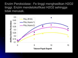 Enzim Peroksidase : Fe tinggi menghasilkan H2O2Enzim Peroksidase : Fe tinggi menghasilkan H2O2
tinggi. Enzim mendetoksifikasi H2O2 sehinggatinggi. Enzim mendetoksifikasi H2O2 sehingga
tidak merusak.tidak merusak.
0.1
0.15
0.2
0.25
0.3
0.35
0.4
0.45
0.5
0 5 10 15
Takaran Pupuk Organik
AktifitasEnzimPeroksidase
Poly. (IR 64)
Poly. (Inpara 1)
Poly. (Inpara 2)
 