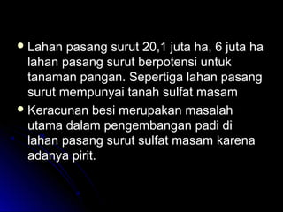  Lahan pasang surut 20,1 juta ha, 6 juta haLahan pasang surut 20,1 juta ha, 6 juta ha
lahan pasang surut berpotensi untuklahan pasang surut berpotensi untuk
tanaman pangan. Sepertiga lahan pasangtanaman pangan. Sepertiga lahan pasang
surut mempunyai tanah sulfat masamsurut mempunyai tanah sulfat masam
 Keracunan besi merupakan masalahKeracunan besi merupakan masalah
utama dalam pengembangan padi diutama dalam pengembangan padi di
lahan pasang surut sulfat masam karenalahan pasang surut sulfat masam karena
adanya pirit.adanya pirit.
 