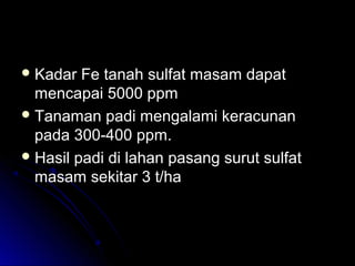  Kadar Fe tanah sulfat masam dapatKadar Fe tanah sulfat masam dapat
mencapai 5000 ppmmencapai 5000 ppm
 Tanaman padi mengalami keracunanTanaman padi mengalami keracunan
pada 300-400 ppm.pada 300-400 ppm.
 Hasil padi di lahan pasang surut sulfatHasil padi di lahan pasang surut sulfat
masam sekitar 3 t/hamasam sekitar 3 t/ha
 