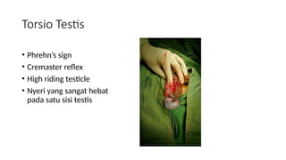 High Riding Testes Comprehensive Overview of Urological Emergencies and Trauma Management ...