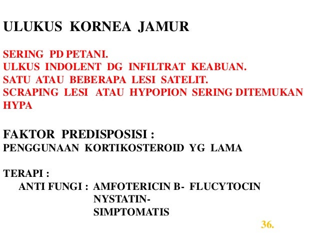 Kuliah mata 2013