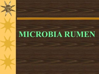 MICROBIA RUMEN
 