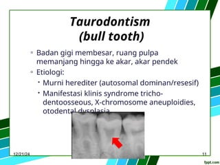 Bull Tooth Kelainan non infeksi di rongga mulut anak.ppt