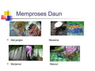 Memproses Daun
 Alat jangka Mewarna
 Menjemur Melurut
 