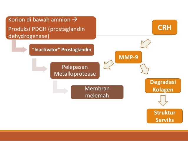 Kuliah penyegaran parturition, 7 cardinal movements Kuliah penyegaran parturition, 7 cardinal movements