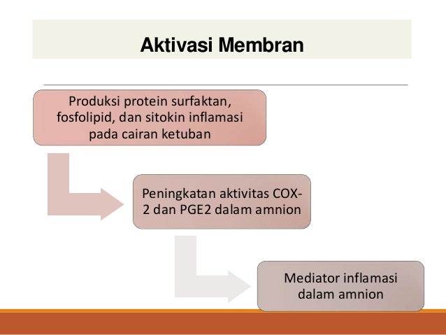 Kuliah penyegaran parturition, 7 cardinal movements Kuliah penyegaran parturition, 7 cardinal movements