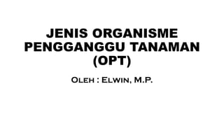 JENIS ORGANISME
PENGGANGGU TANAMAN
(OPT)
Oleh : Elwin, M.P.
 