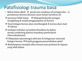 Patofisiologi trauma basa
 Bahan kimia alkali  pecah atau rusaknya sel jaringan dan rx
persabunan disertai disosiasi asam lemak membran sel
 penetrasi lebih lanjut  Mukopolisakarida jaringan
menghilang & terjadi penggumpalan sel kornea
 Serat kolagen kornea akan membengkak & kornea akan mati
 Edema
 terdapat serbukan sel polimorfonuklear ke dalam
stroma,cenderung disertai masuknya pemb.darah
(Neovaskularisasi)
 Dilepaskan plasminogen aktivator & kolagenase (merusak
kolagen kornea Terjadi gangguan penyembuhan epitel
 Berkelanjutan menjadi ulkus kornea atau perforasi ke lapisan
yang lebih dalam
 