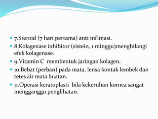  7.Steroid (7 hari pertama) anti inflmasi.
 8.Kolagenase inhibitor (sistein, 1 minggu)menghilangi
efek kolagenase.
 9.Vitamin C membentuk jaringan kolagen.
 10.Bebat (perban) pada mata, lensa kontak lembek dan
tetes air mata buatan.
 11.Operasi keratoplasti bila kekeruhan kornea sangat
mengganggu penglihatan.
 