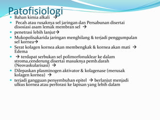 Patofisiologi
 Bahan kimia alkali 
 Pecah atau rusaknya sel jaringan dan Persabunan disertai
disosiasi asam lemak membran sel 
 penetrasi lebih lanjut
 Mukopolisakarida jaringan menghilang & terjadi penggumpalan
sel kornea
 Serat kolagen kornea akan membengkak & kornea akan mati 
Edema
  terdapat serbukan sel polimorfonuklear ke dalam
stroma,cenderung disertai masuknya pemb.darah
(Neovaskularisasi) 
 Dilepaskan plasminogen aktivator & kolagenase (merusak
kolagen kornea) 
 terjadi gangguan penyembuhan epitel  berlanjut menjadi
ulkus kornea atau perforasi ke lapisan yang lebih dalam
 