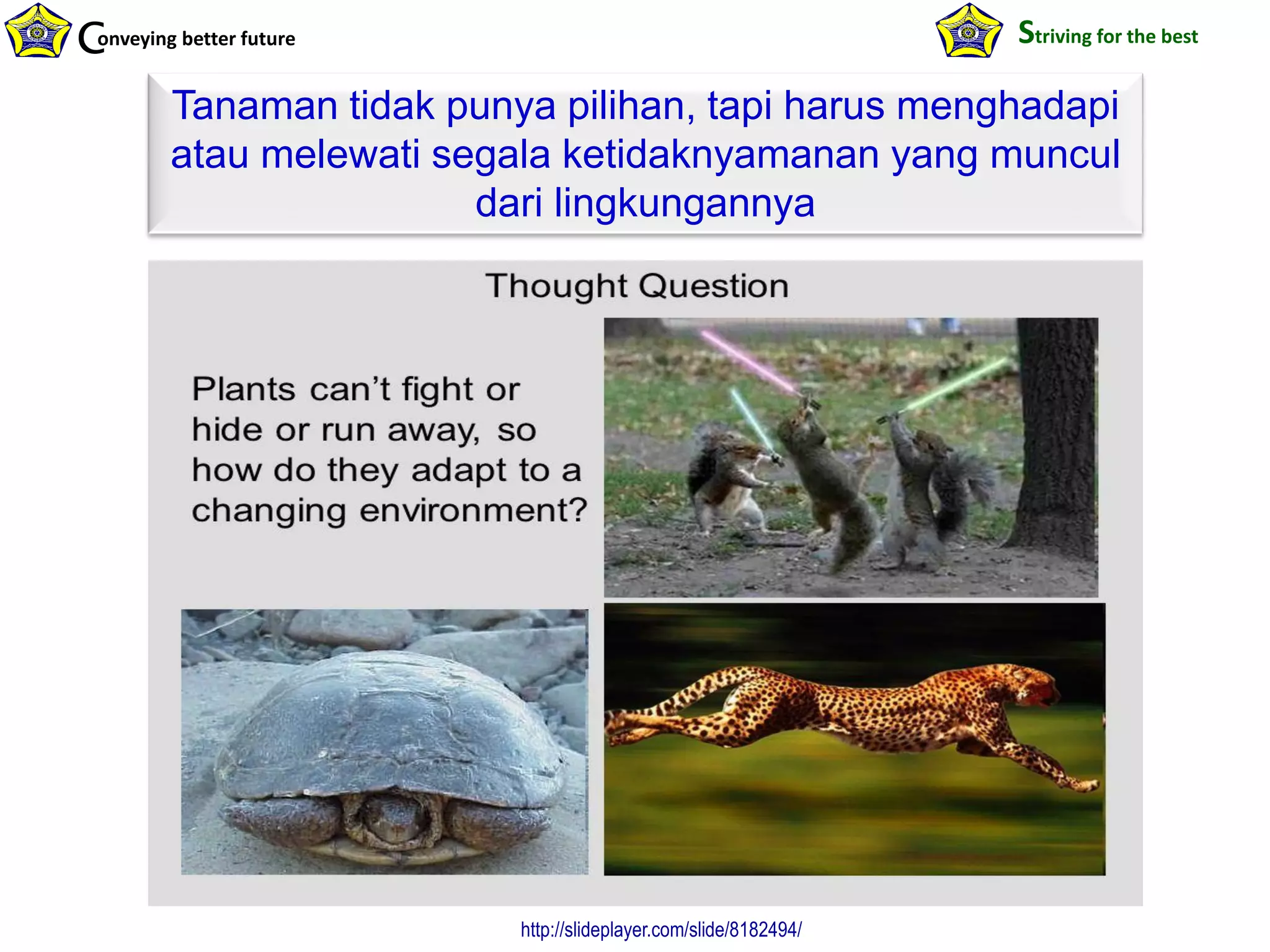 onveying better futureC Striving for the best
http://slideplayer.com/slide/8182494/
Tanaman tidak punya pilihan, tapi harus menghadapi
atau melewati segala ketidaknyamanan yang muncul
dari lingkungannya
 