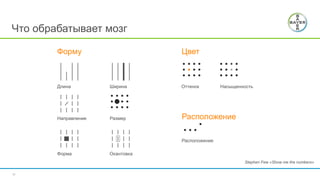 11
Что обрабатывает мозг
Форму Цвет
Расположение
ШиринаДлина
Направление Размер
Форма Окантовка
Оттенок Насыщенность
Расположение
Stephen Few «Show me the numbers»
 
