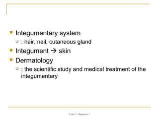    Integumentary system
       : hair, nail, cutaneous gland
   Integument  skin
   Dermatology
       : the scientific study and medical treatment of the
        integumentary




                           Unit 1 - Objective 1
 