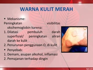 WARNA KULIT MERAH
• Mekanisme:
Peningkatan visibilitas
oksihemoglobin karena:
1. Dilatasi pembuluh darah
superfisial/ peningkatan aliran
darah ke kulit
2. Penurunan penggunaan O2 di kulit
• Penyebab:
1. Demam, asupan alkohol, inflamasi
2. Pemajanan terhadap dingin
 